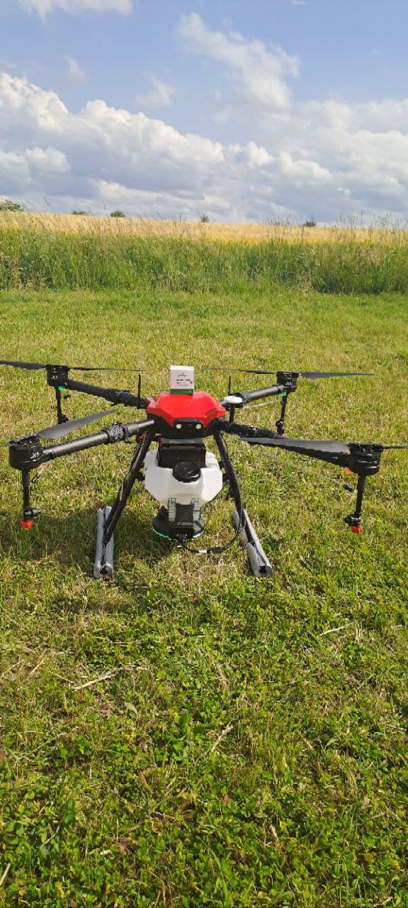 Trichogramma – Bekämpfung des Maiszünslers.