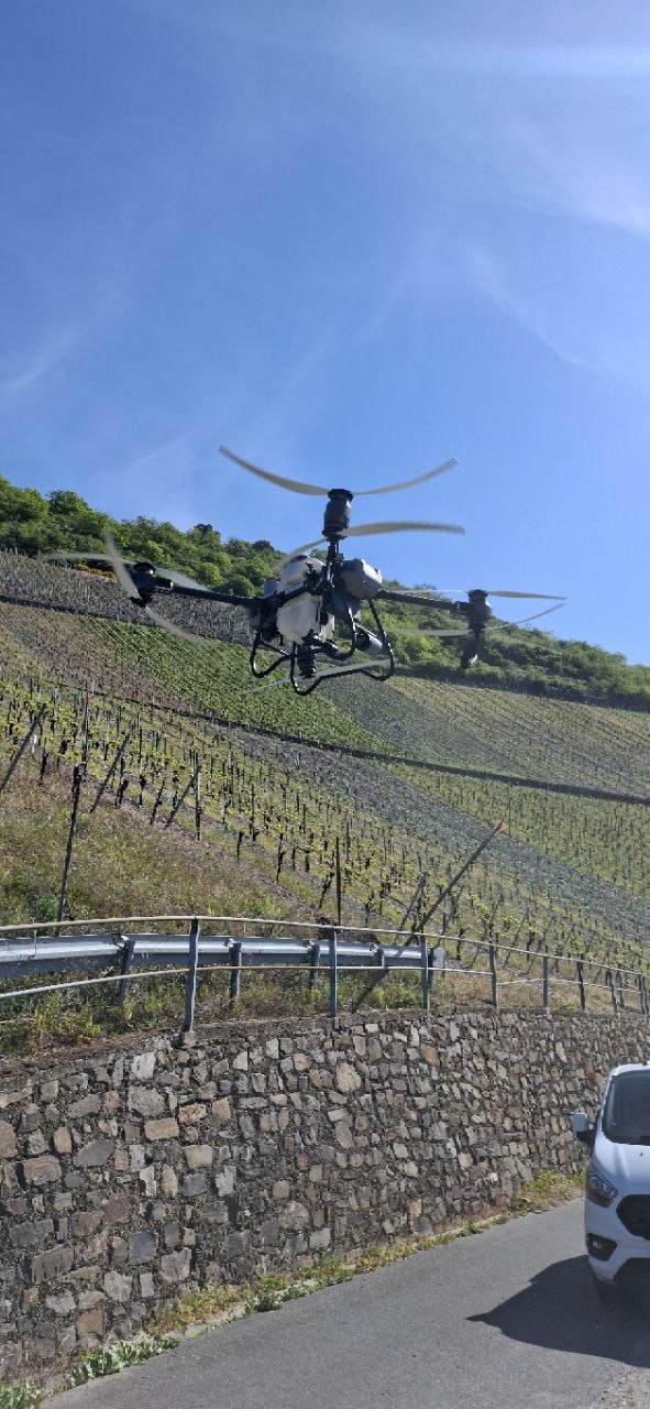 Weinbau in Steillagen