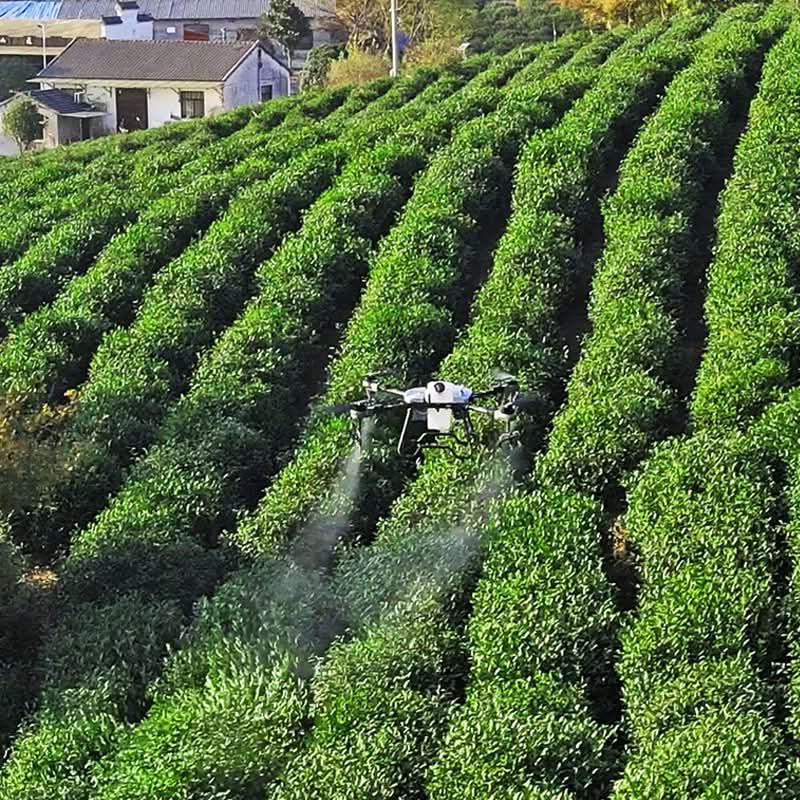 Weinbau in Steillagen